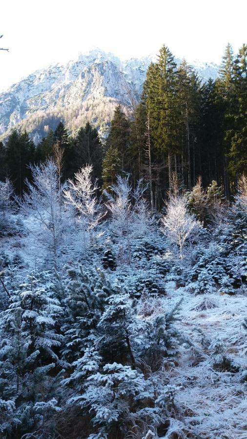 Apartment Crystal Rose Kranjska Gora Luaran gambar