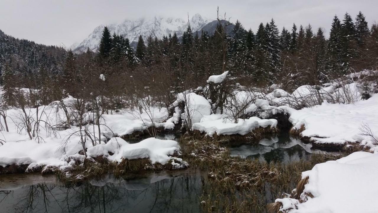 Apartment Crystal Rose Kranjska Gora Luaran gambar